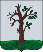 Герб: Стародуб
